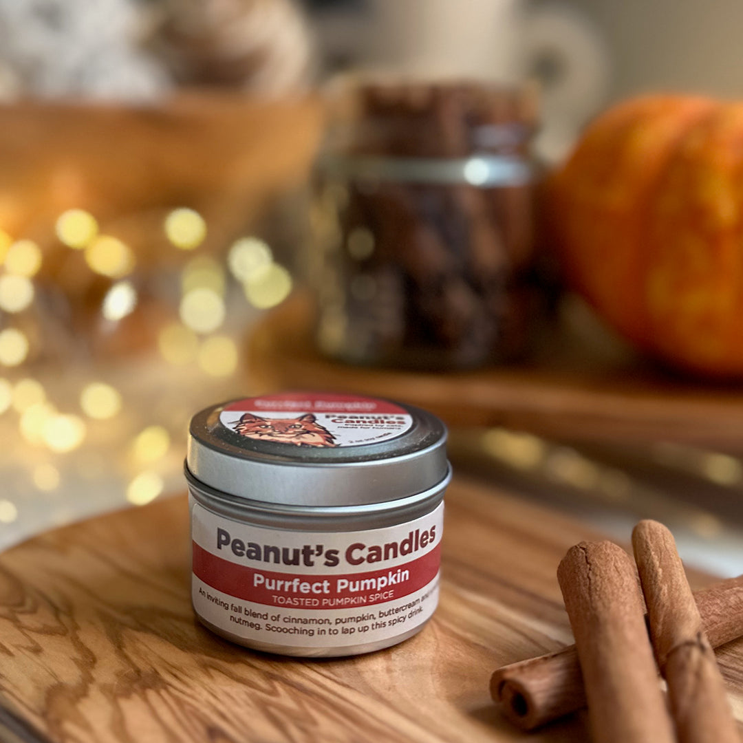 Purrfect Pumpkin 2 oz Soy Candle