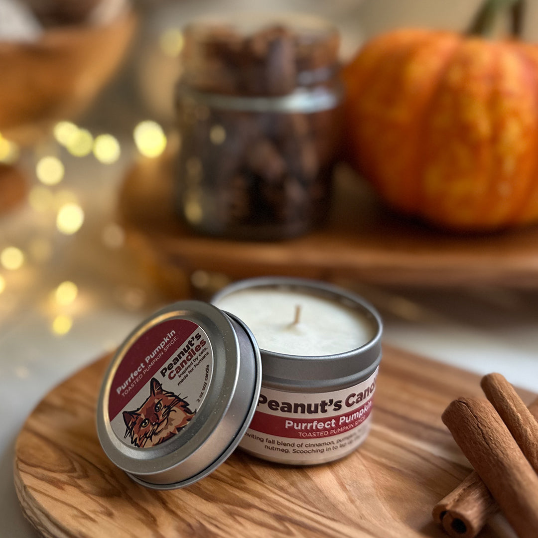 Purrfect Pumpkin 2 oz Soy Candle
