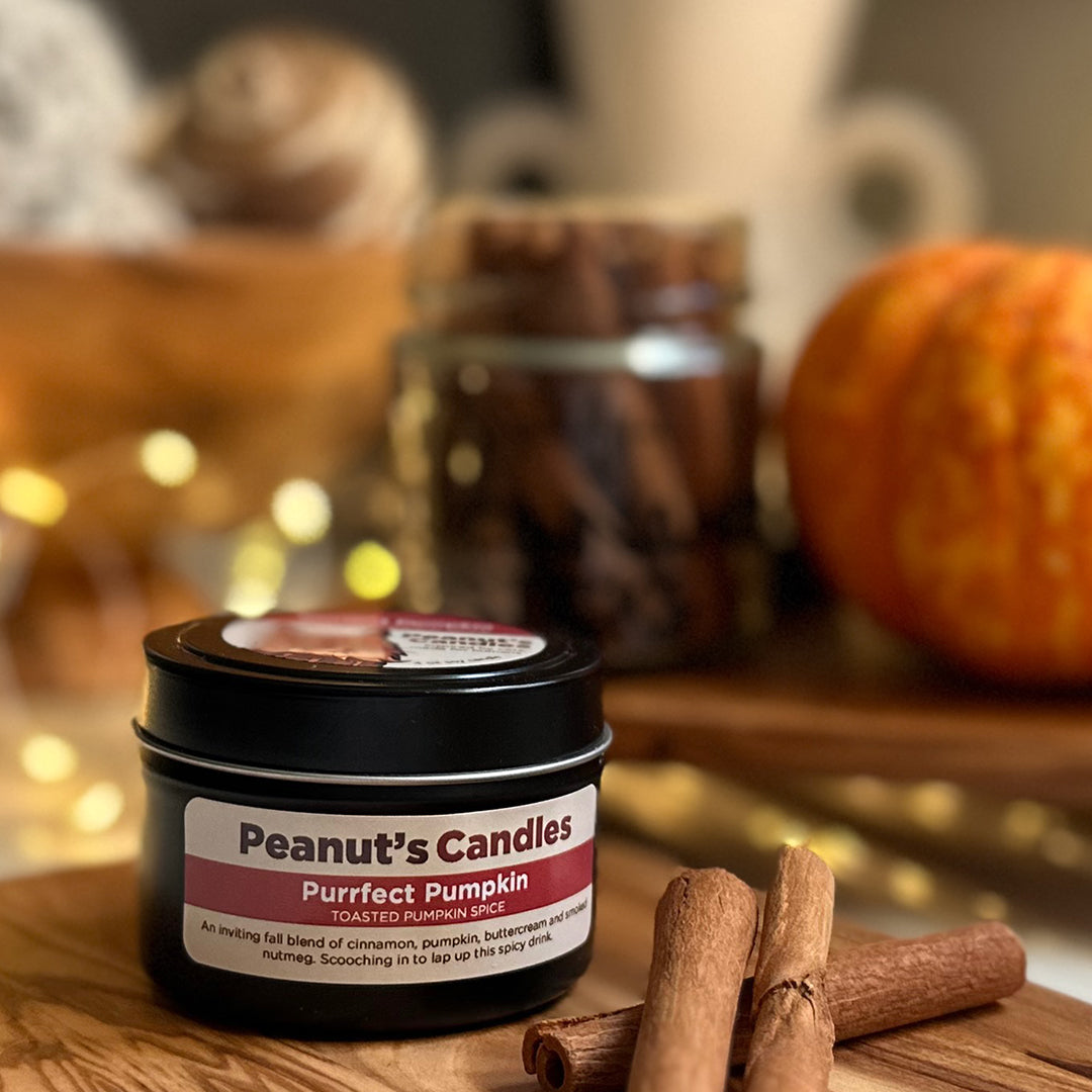 Purrfect Pumpkin 4 oz Soy Candle
