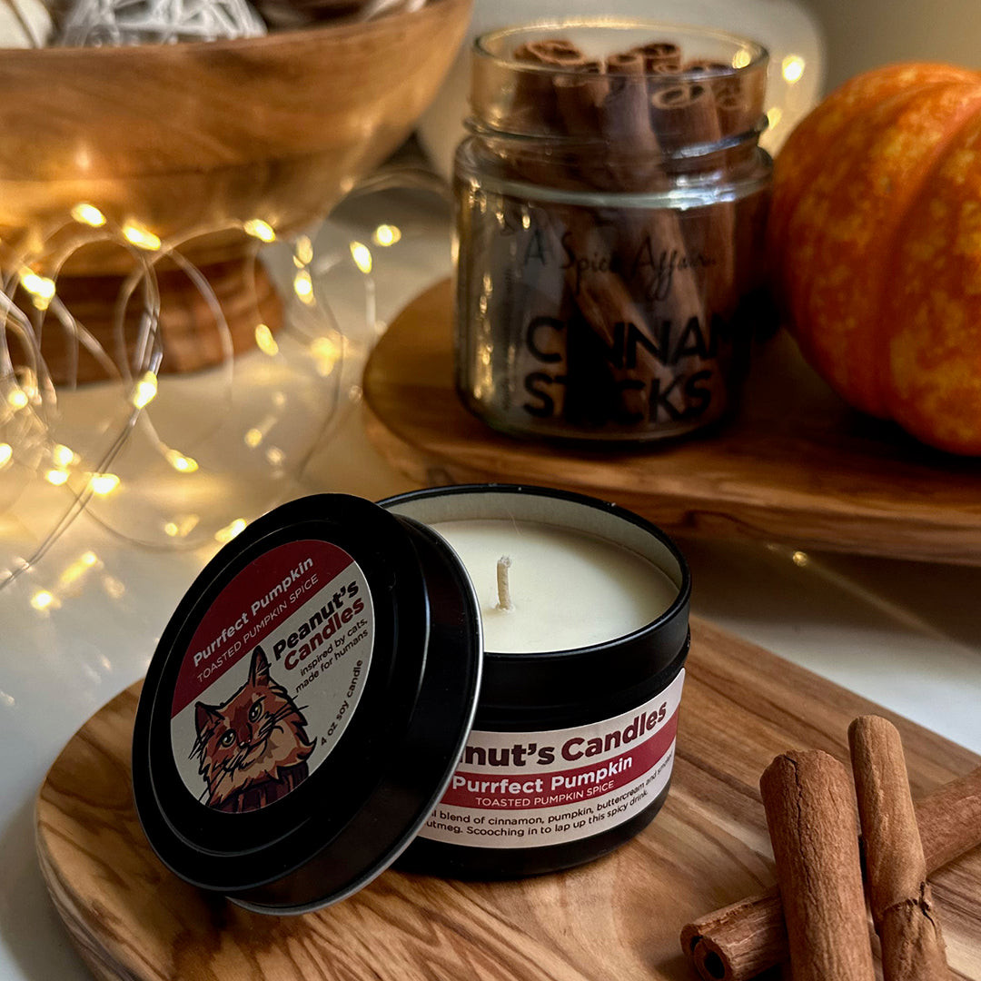 Purrfect Pumpkin 4 oz Soy Candle