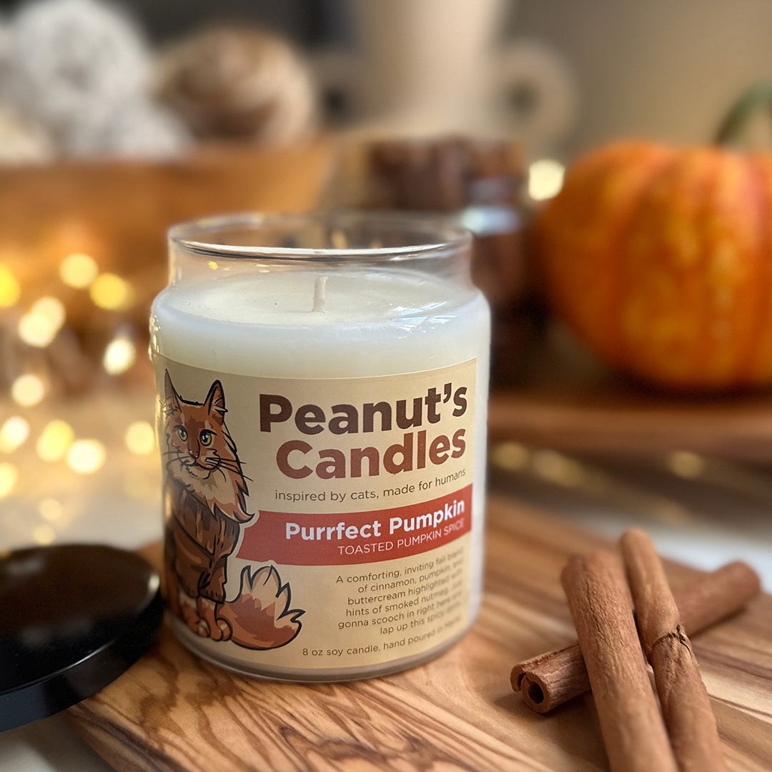 Purrfect Pumpkin 8 oz Soy Candle