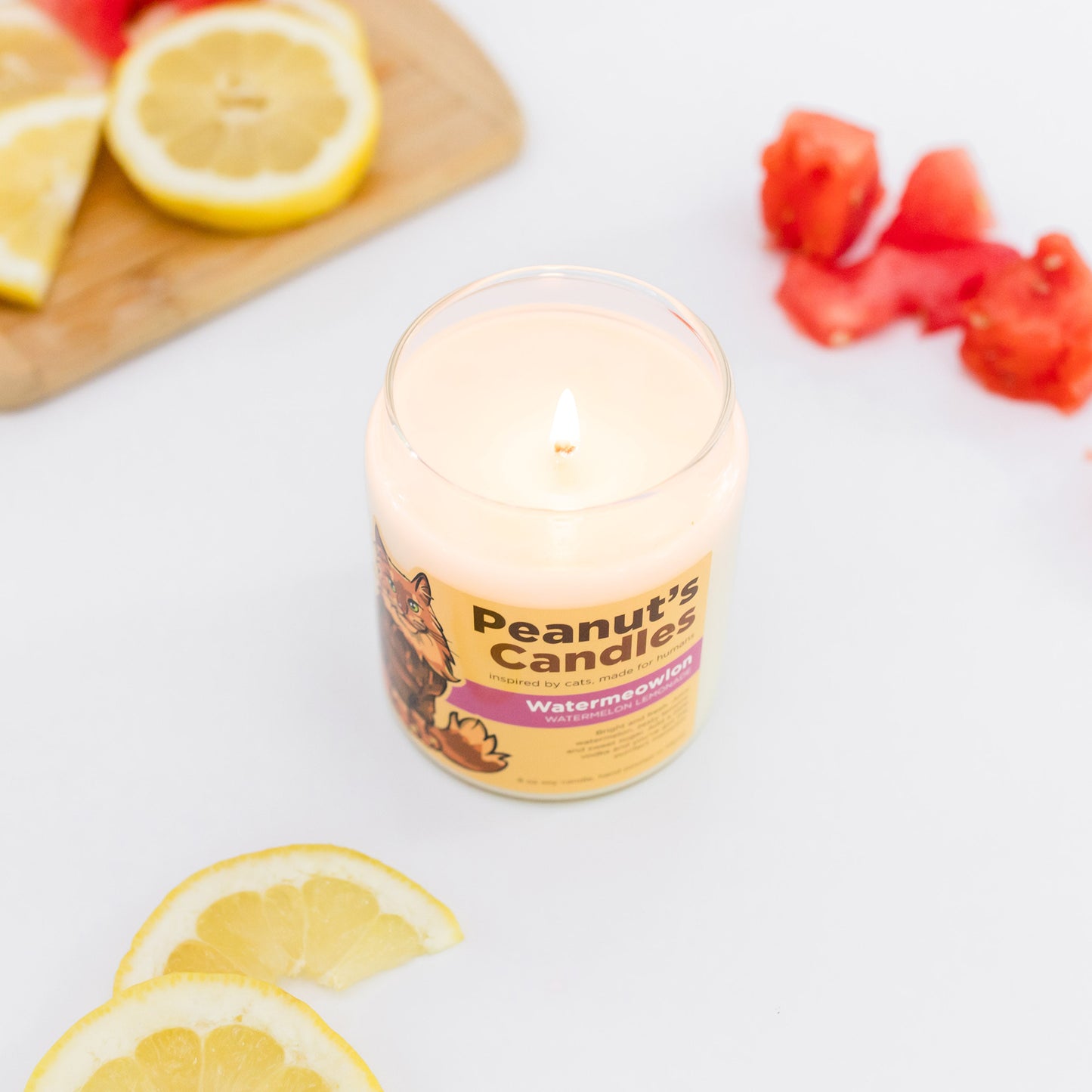 Watermeowlon 8 oz Soy Candle